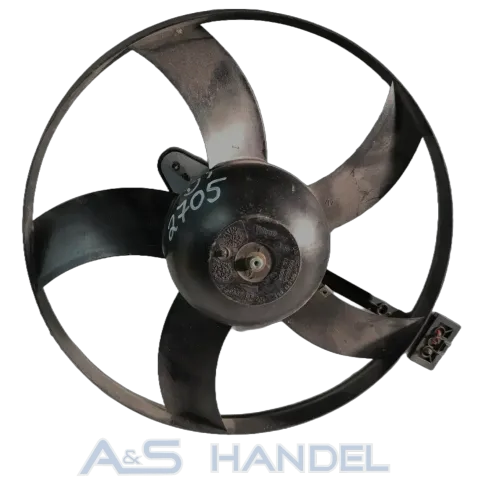 Article 33PD6